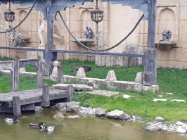 10. Geburtstag/Besuch Zoo Hannover 27.04.2019